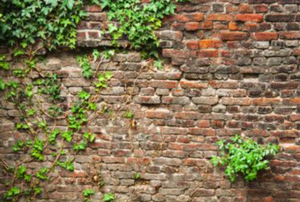 Dinding bata merah sebagai latar